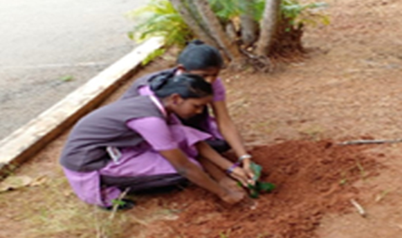 National Service Scheme